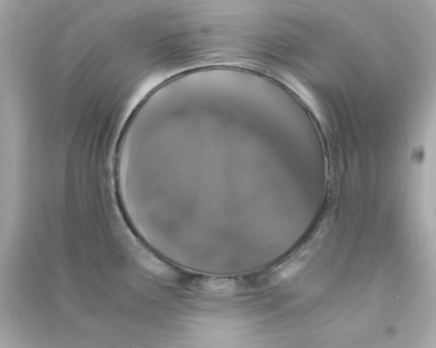 X0000090471291200708102125