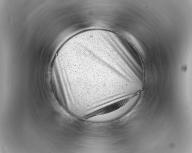 X0000090471292200708102125