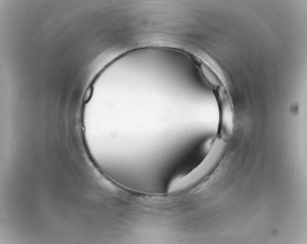 X0000090471293200708102125