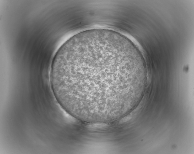 X0000090471294200708102125