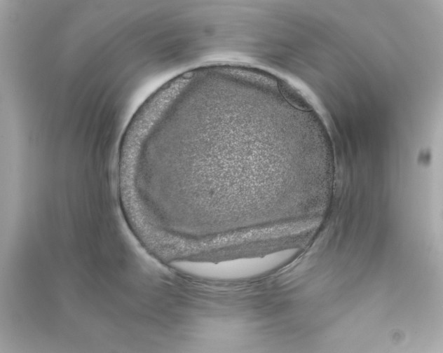 X0000090471295200708102125