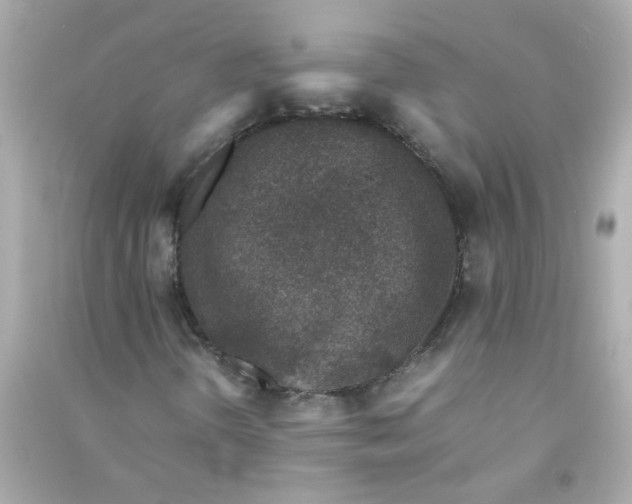 X0000090471298200708102125