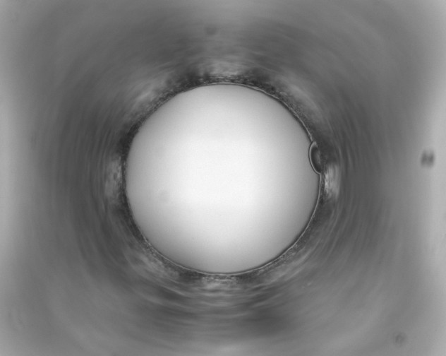 X0000090471299200708102125