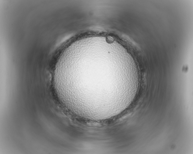 X0000090471302200708102125