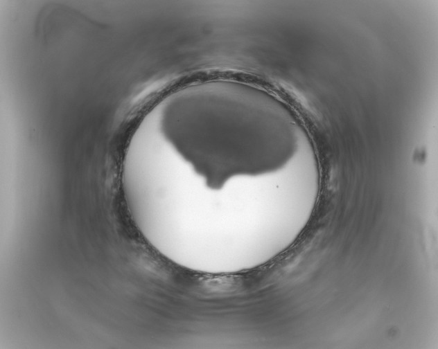 X0000090471303200708102125