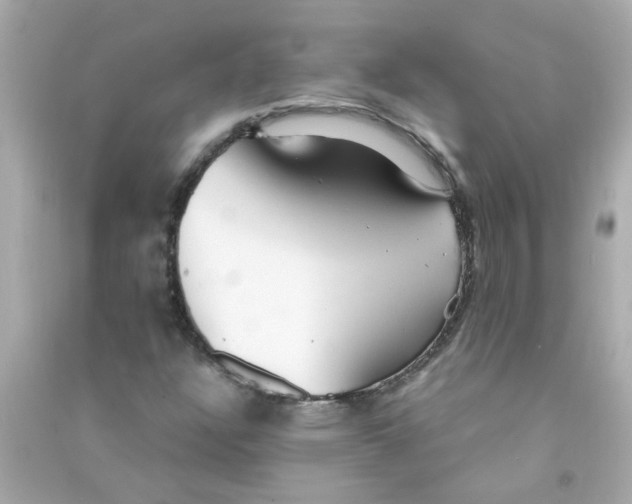 X0000090471304200708102125