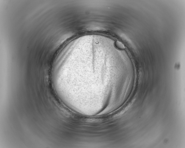 X0000090471305200708102125