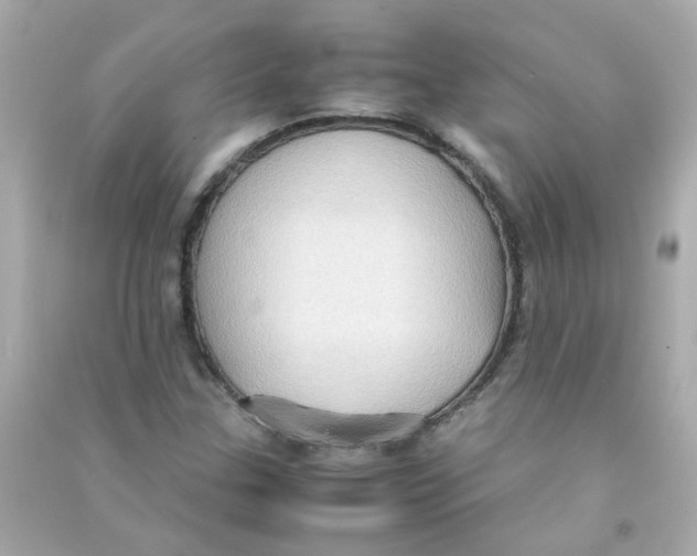 X0000090471307200708102125