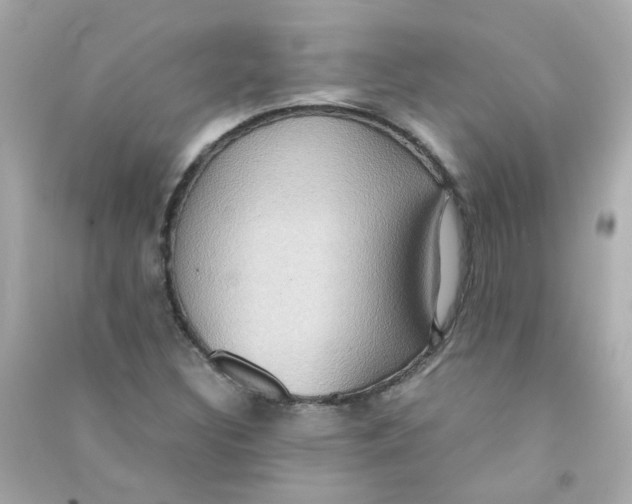 X0000090471308200708102125