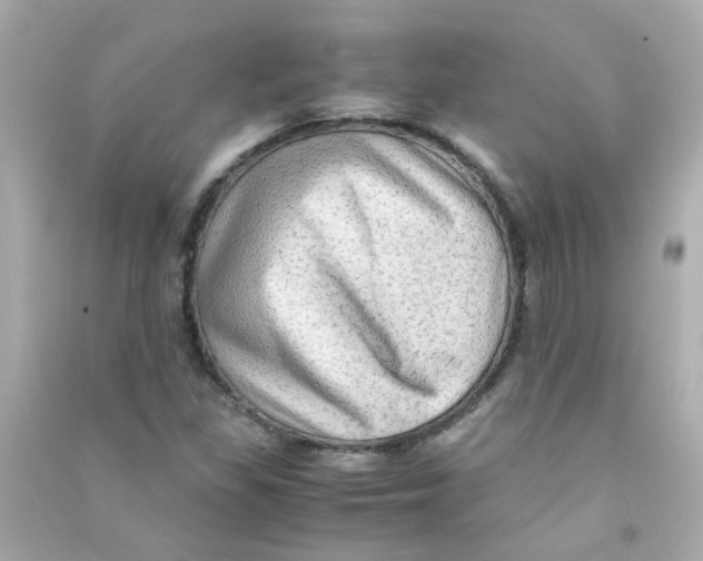 X0000090471309200708102125