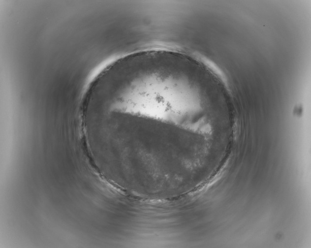 X0000090471310200708102125