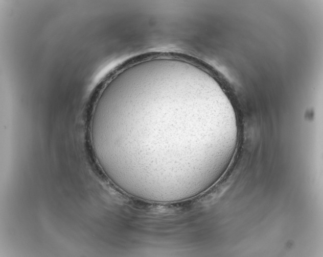 X0000090471311200708102125