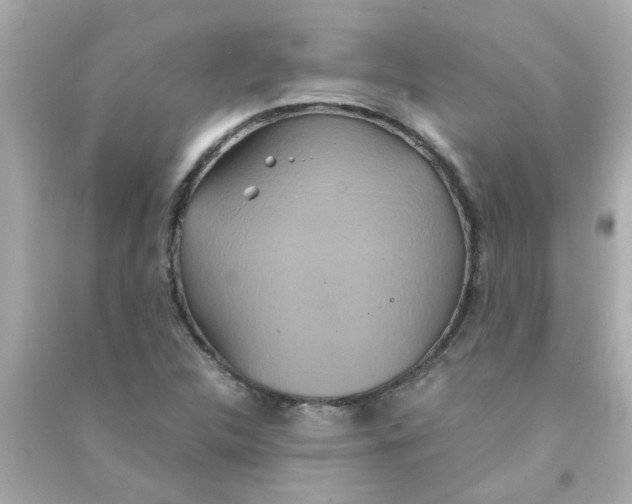 X0000090471312200708102125