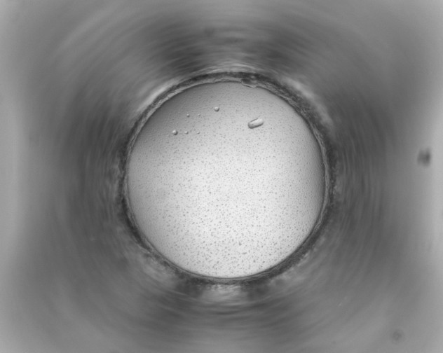 X0000090471313200708102125