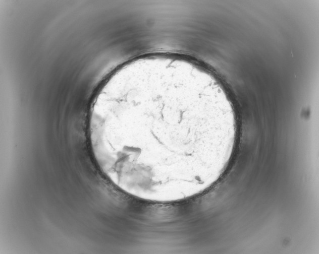 X0000090471314200708102125