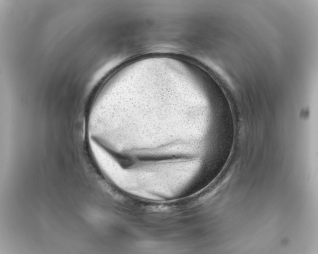 X0000090471317200708102125