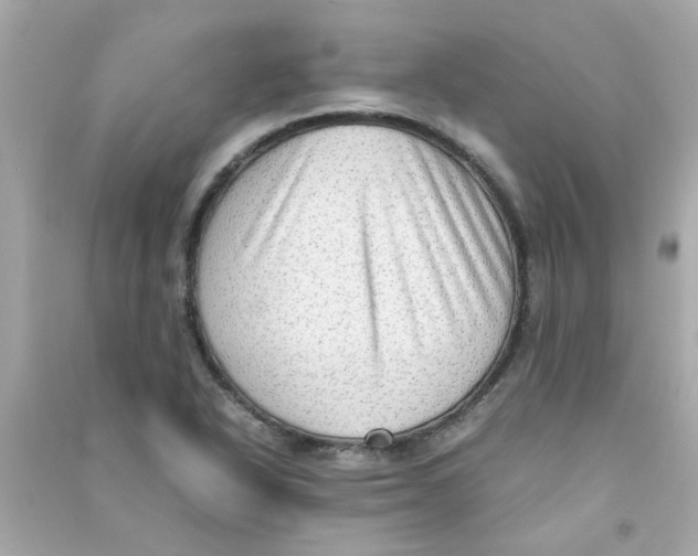 X0000090471318200708102125