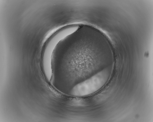 X0000090471319200708102125