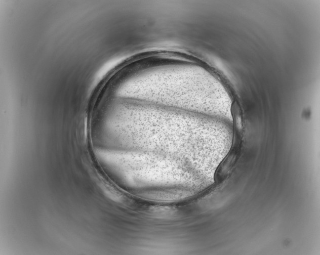 X0000090471320200708102125