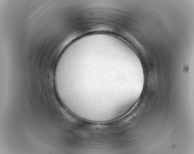 X0000090471321200708102125