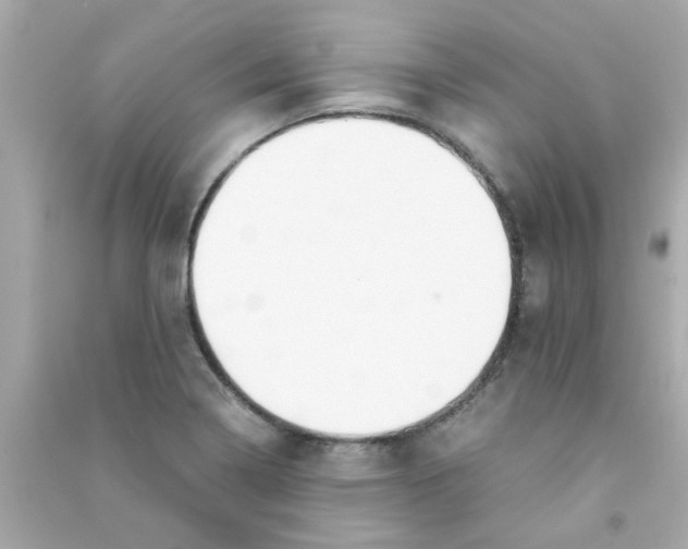 X0000090471322200708102125