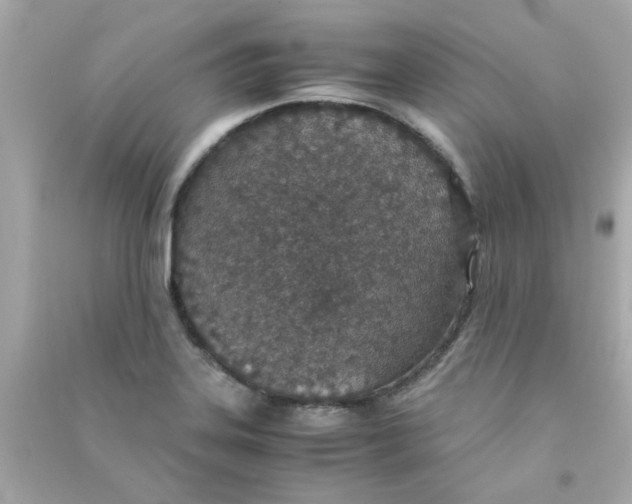 X0000090471323200708102125