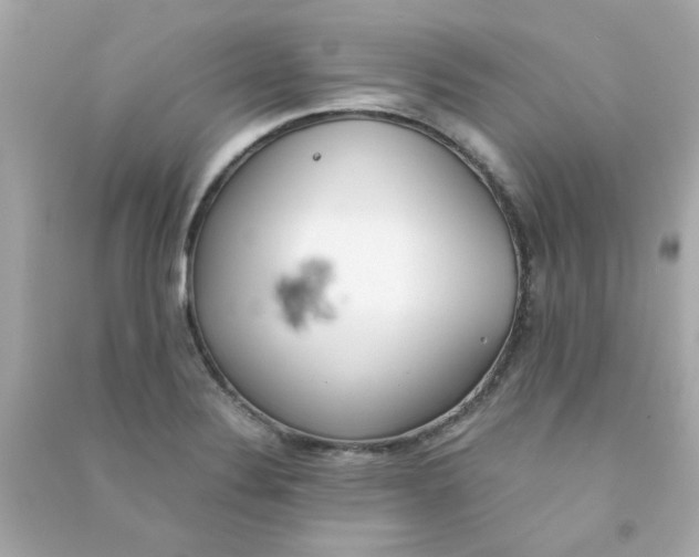 X0000090471324200708102125