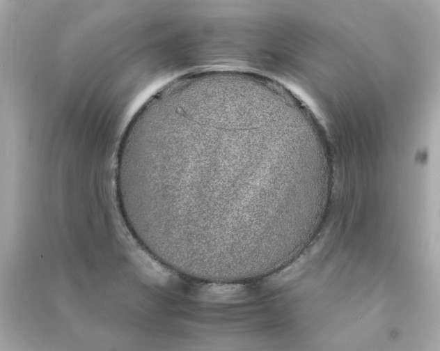 X0000090471325200708102125