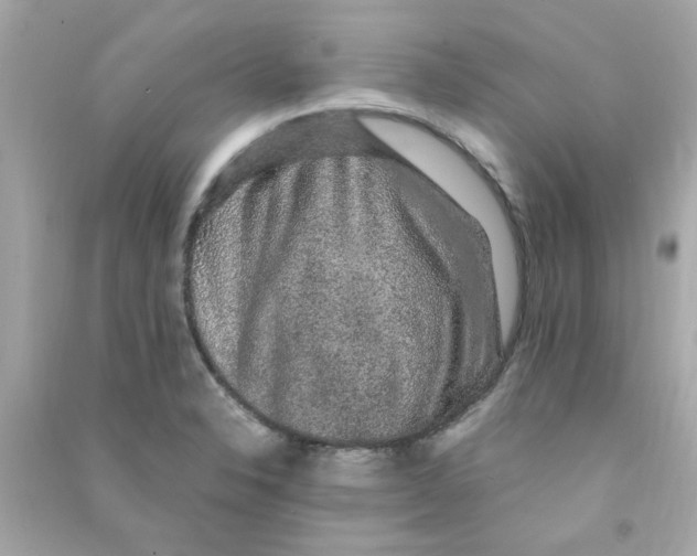 X0000090471326200708102125