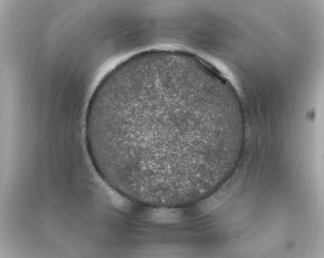 X0000090471327200708102125