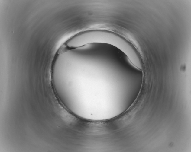 X0000090471328200708102125