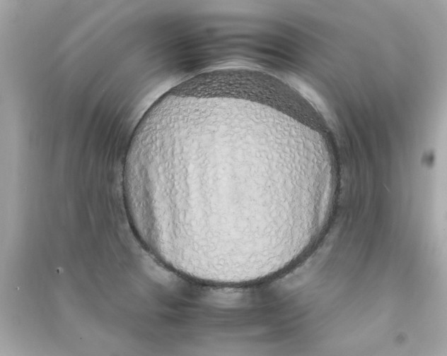 X0000090471329200708102125