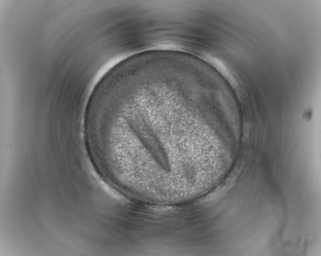 X0000090471331200708102125