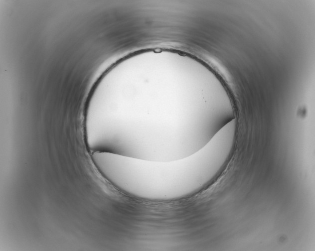 X0000090471332200708102125