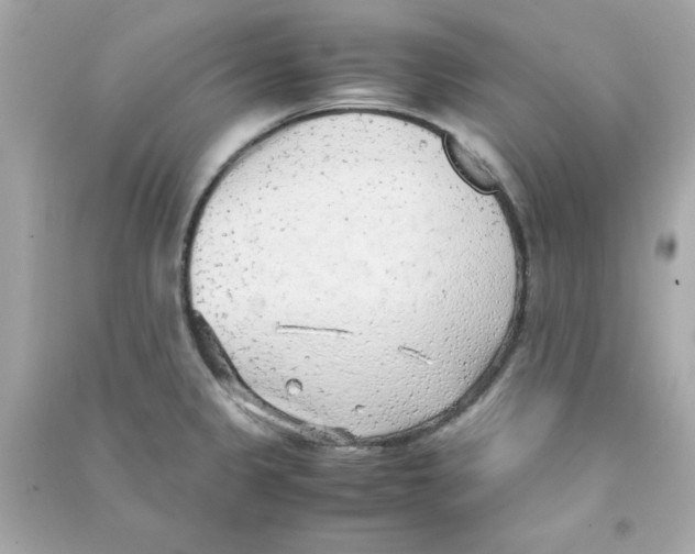 X0000090471333200708102125