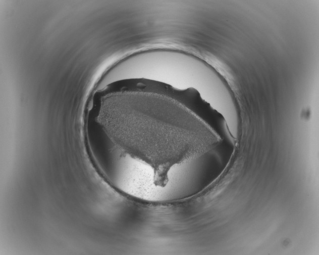 X0000090471334200708102125