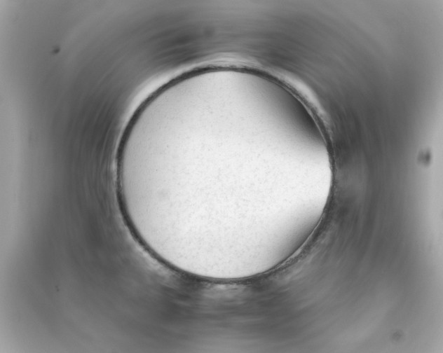 X0000090471335200708102125