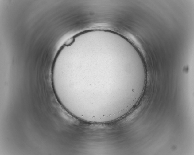 X0000090471336200708102125