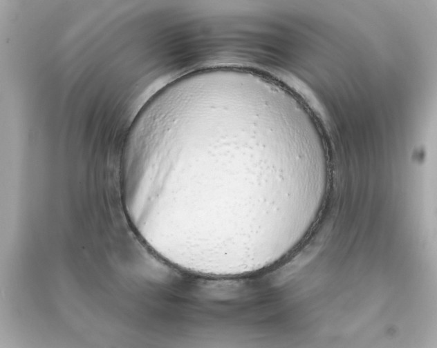 X0000090471337200708102125