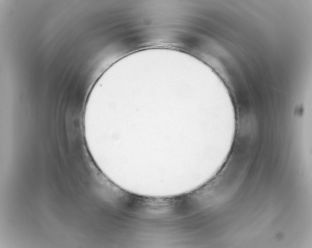 X0000090471338200708102125