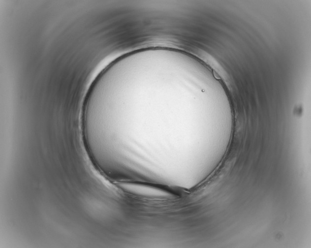 X0000090471339200708102125