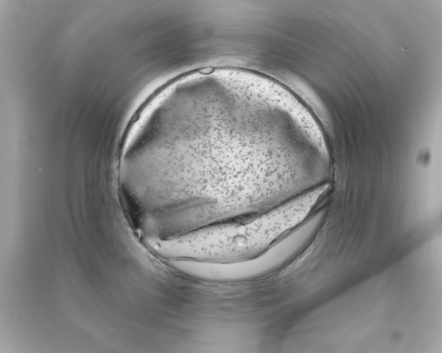 X0000090471340200708102125