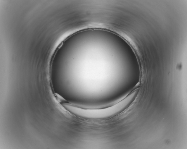 X0000090471342200708102125