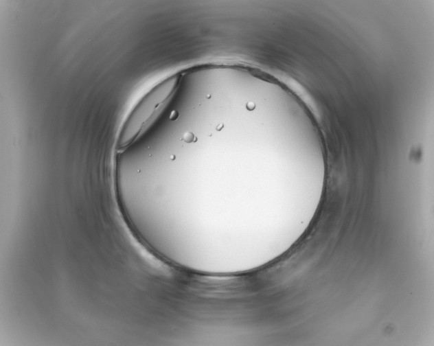 X0000090471343200708102125