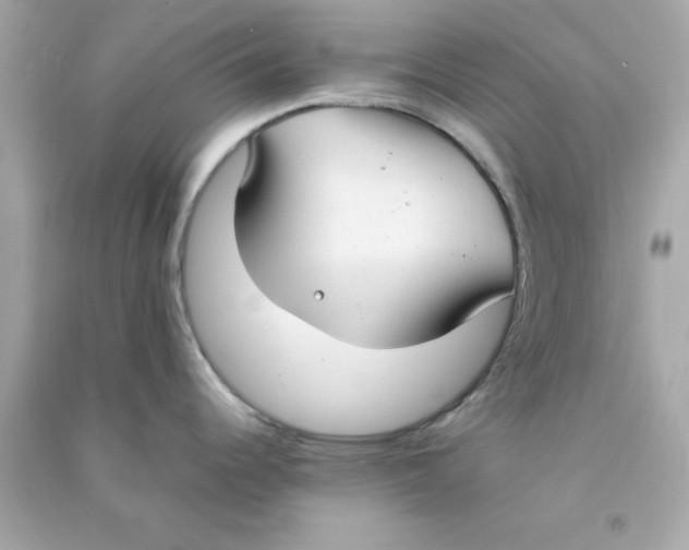 X0000090471344200708102125