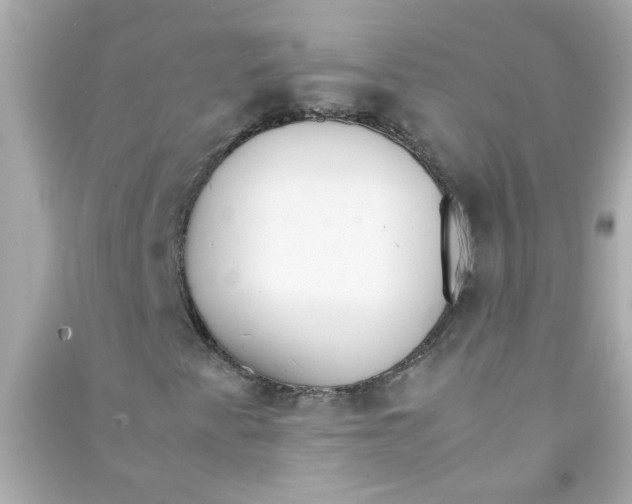 X0000090471345200708102125