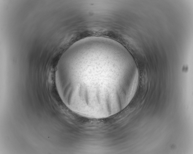 X0000090471346200708102125