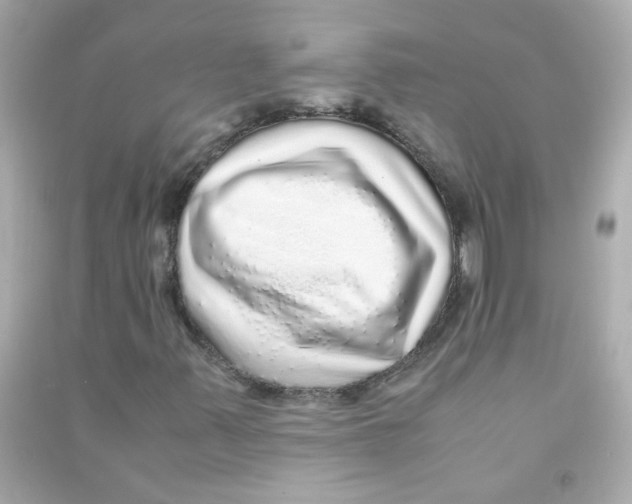 X0000090471347200708102125