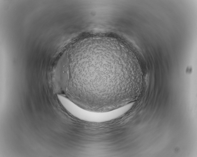 X0000090471348200708102124