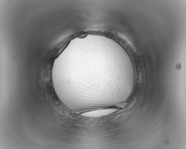 X0000090471350200708102124